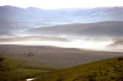 Pferde auf einer Alm in den Karpaten.