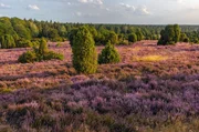 &bdquo;Heimat Natur - Feldflur, Heide, K&uuml;ste&ldquo; ist der zweite Teil einer zweiteiligen Dokumentation, die sich mit dem Zustand der Natur unserer Heimat befasst.