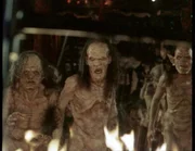 Pl&ouml;tzlich verwandelt sich die ganze Belegschaft der Bar in blutsaugende Bestien....