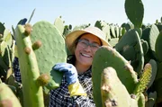 Nopal &ndash; Der Allesk&ouml;nner aus Mexiko Consuelo Lara in ihrem Kakteenfeld in Milpa Alta  Copyright: SRF/MedienKontor/Joanna Michna