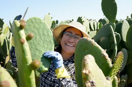 Nopal &ndash; Der Allesk&ouml;nner aus Mexiko Consuelo Lara in ihrem Kakteenfeld in Milpa Alta  Copyright: SRF/MedienKontor/Joanna Michna