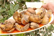 Venusmuscheln auf galicische Art Venusmuscheln auf galicische Art