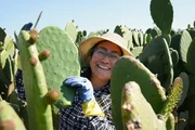 Nopal &ndash; Der Allesk&ouml;nner aus Mexiko Consuelo Lara in ihrem Kakteenfeld in Milpa Alta  Copyright: SRF/MedienKontor/Joanna Michna