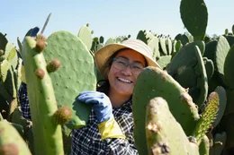 Nopal &ndash; Der Allesk&ouml;nner aus Mexiko Consuelo Lara in ihrem Kakteenfeld in Milpa Alta  Copyright: SRF/MedienKontor/Joanna Michna