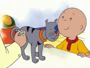 Caillou streichelt den &auml;ngstlichen Kater Gilbert, der gro&szlig;e Angst vorm Tierarzt hat.