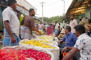 Blumenmarkt in Madurai, Indien: Angebot und Nachfrage bestimmen den Preis f&uuml;r Jasminbl&uuml;ten, den die Gro&szlig;h&auml;ndler st&uuml;ndlich neu festlegen.