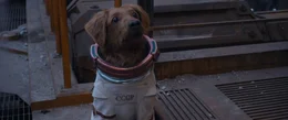Cosmo.