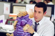 Adam Sandler (Dave Buznik).