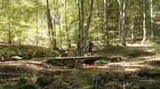 Klaus und Heike Metz in ihrem Waldst&uuml;ck, um nach Steinen und Holz zur Weiterverarbeitung zu suchen.