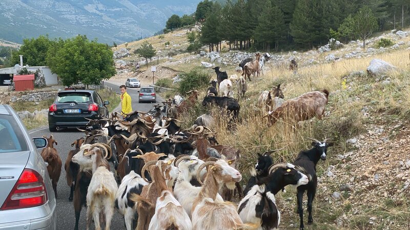 Die Albanischen Alpen – In den verwunschenen Bergen (D, 2024)