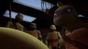 L-R: Donatello, Raphel, Michelangelo, Leonardo