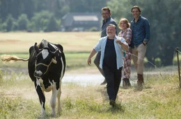 Thomas (Axel Prahl, vorne) m&ouml;chte sich mit der Kuh Gloria anfreunden. Jutta (Dagmar Manzel), Gerd (Max Hopp, r.) und Ulli (Matthias Freihof) schauen zu.