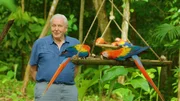 Sir David Attenborough ist f&uuml;r seine gro&szlig;artigen BBC-Tierdokumentationen bekannt &ndash; seit 1954.