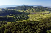 PHOENIX WILDES DEUTSCHLAND, "Der Kaiserstuhl - In die Hitze des Oberrheins", am Freitag (25.04.25) um 21:00 Uhr. Auf dem Hauptkamm w&auml;chst Wald, in tieferen Lagen ist der alte Vulkan von Weinbergen gepr&auml;gt. r.de