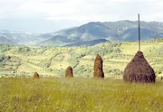 Landschaft &ouml;stlich von Satu Mare.