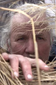 Stan Zuray is peering out of the geese blind checking the skies for geese.