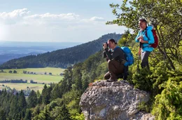 Bei einer Wanderung auf dem Donauberglandweg locken traumhafte Ausblicke und einzigartige Landschaften mit intakter Natur.