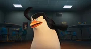 Der b&ouml;se Dr. Octavius Brine will sich an allen Pinguinen auf grausame Weise f&uuml;r etwas r&auml;chen, das ihm in der Vergangenheit angetan wurde. Skipper (Bild) und seine Teamkollegen Kowalski, Rico und Private k&ouml;nnen das auf keinen Fall zulassen und wollen den Doktor mit allen Mitteln aufhalten ...