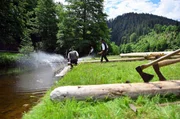 Fl&ouml;&szlig;er vom Verein der Schiltacher Fl&ouml;&szlig;er haben die Flo&szlig;fahrten die Kinzig hinab zum Rhein wieder aufgenommen.