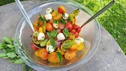 Salat aus alten Cocktailtomatensorten, tetrockneten Tomaten und Mozarella.