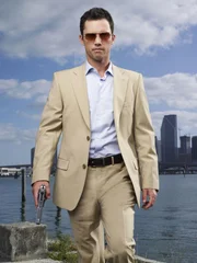 Michael Westen (Jeffrey Donovan) 2. Staffel