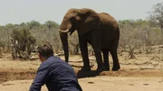 Dirk Steffens begegnet einem Elefanten hautnah &ndash; ein au&szlig;ergew&ouml;hnliches Erlebnis!