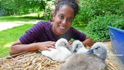 Pia ist ganz vernarrt in die drei flauschigen Schwanenk&uuml;ken.
