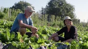 Michele und Jason Nunn. Die beiden ehemaligen Techniker im Gem&uuml;segarten ihrer kleinen Landwirtschaft.