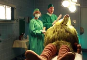 Mumbro soll operiert werden. Der Oberarzt (Gerd-Ekken Gerdes) und die Narkose&auml;rztin (Nicole Boguth) bereiten die Operation vor.