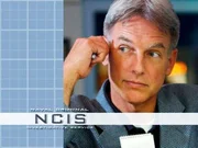 Mark Harmon