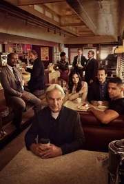 (19. Staffel) - Navy CIS - Artwork