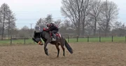 "Shadow" bockt so heftig, dass Veronika Walch sich kaum halten kann!