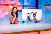 Bei Woozle Goozle geht es heute um Australien. Und auch um die Frage, ob die Woozles vielleicht von Kängurus abstammen. Woozle (re.) kann das nicht so richtig glauben und versucht der Frage wissenschaftlich auf den Grund zu gehen. Dabei hilft ihm Maria (li.). Bei Woozle Goozle geht es heute um Australien. Und auch um die Frage, ob die Woozles vielleicht von Kängurus abstammen. Woozle (re.) kann das nicht so richtig glauben und versucht der Frage wissenschaftlich auf den Grund zu gehen. Dabei hilft ihm Maria (li.).