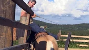 Auch f&uuml;r Pferdeprofi Bernd Hackl ist das wilde Reitpony eine echte Herausforderung. "Otto" hat so viel Erfahrung gesammelt, dass er inzwischen genau wei&szlig;, was man von ihm will, und er einfach nur das Gegenteil tut. Ob das Pferd jemals reitbar sein wird?