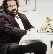 In v&ouml;lliger Unkenntnis der modernen Lebensweise, ger&auml;t Hinterw&auml;ldler Joe (Bud Spencer) auf der Jagd nach einer Lizenz f&uuml;r seinen Bananenverkauf von einer Katastrophe in die n&auml;chste ...