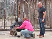 Tia and Jay checking on the neighbor's dog.
