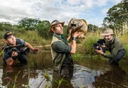 Coyote Peterson, Mark Vins and Mario Aldecoa standing the swamp with a snapping turtle and cameras.