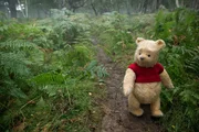 Winnie the Pooh (Jim Cummings voice)