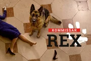 Rex. Rex.