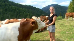 Seit vier Monaten ist die 20-j&auml;hrige Josefa Leitner als Sennerin auf der Ochsenalm allein f&uuml;r die Tiere, die Wiesen und die alte Almh&uuml;tte verantwortlich. Sie wollte vom Trubel unten im Tal ablassen und &uuml;ber sich nachdenken. Der Film gibt Einblicke in das Leben einer au&szlig;ergew&ouml;hnlichen jungen Frau  und begleitet sie &uuml;ber zwei Jahre. Wie haben sie die Erfahrungen als Sennerin ver&auml;ndert?