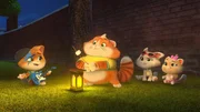 die Buffycats campen im Park und erz&auml;hlen sich gruselige Lagerfeuergeschichten. Zuerst sorgen die Geschichten noch f&uuml;r gem&uuml;tliche Lagerfeuerstimmung, aber dann bekommen Lampo, Metti, Milady und Pilou es mit der Angst zu tun.