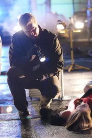 Ally Sullivan (Stephanie Nicole Lemelin) wurde in einen Verkehrsunfall mit einem fl&uuml;chtigen M&ouml;rder verwickelt und von diesem erschossen. Grissom (William Petersen) untersucht den Tatort nach Spuren, die zu dem T&auml;ter f&uuml;hren k&ouml;nnten...