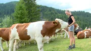 Seit vier Monaten ist die 20-j&auml;hrige Josefa Leitner als Sennerin auf der Ochsenalm allein f&uuml;r die Tiere, die Wiesen und die alte Almh&uuml;tte verantwortlich. Sie wollte vom Trubel unten im Tal ablassen und &uuml;ber sich nachdenken. Der Film gibt Einblicke in das Leben einer au&szlig;ergew&ouml;hnlichen jungen Frau  und begleitet sie &uuml;ber zwei Jahre. Wie haben sie die Erfahrungen als Sennerin ver&auml;ndert?