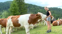 Seit vier Monaten ist die 20-j&auml;hrige Josefa Leitner als Sennerin auf der Ochsenalm allein f&uuml;r die Tiere, die Wiesen und die alte Almh&uuml;tte verantwortlich. Sie wollte vom Trubel unten im Tal ablassen und &uuml;ber sich nachdenken. Der Film gibt Einblicke in das Leben einer au&szlig;ergew&ouml;hnlichen jungen Frau  und begleitet sie &uuml;ber zwei Jahre. Wie haben sie die Erfahrungen als Sennerin ver&auml;ndert?