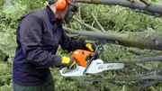 Ein Darmst&auml;dter Feuerwehrmann zers&auml;gt einen umgest&uuml;rzten Baum.