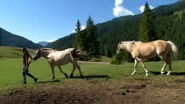 Sennerin Josefa mit ihren Pferden Thoren und Dex.