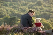 Ewan McGregor (Christopher Robin).