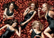 (2. Staffel) - Gelangweilte Hausfrauen machen sich ihr Leben gegenseitig zur H&ouml;lle: Lynette Scavo (Felicity Huffman, 2.v.r.), Bree Van De Kamp (Marcia Cross, M.), Gabrielle Solis (Eva Longoria, 2.v.l.), Edie Britt (Nicollette Sheridan, r.) und Susan Mayer (Teri Hatcher, l.) ...
