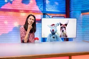 Bei Woozle Goozle geht es heute um Australien. Und auch um die Frage, ob die Woozles vielleicht von Kängurus abstammen. Woozle (re.) kann das nicht so richtig glauben und versucht der Frage wissenschaftlich auf den Grund zu gehen. Dabei hilftt ihm Maria (li.). Bei Woozle Goozle geht es heute um Australien. Und auch um die Frage, ob die Woozles vielleicht von Kängurus abstammen. Woozle (re.) kann das nicht so richtig glauben und versucht der Frage wissenschaftlich auf den Grund zu gehen. Dabei hilftt ihm Maria (li.).