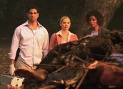 Eric (Adam Rodriguez, l.) und Calleigh (Emily Procter, M.) untersuchen den Mord an einem Krematoriumsbesitzer. Sie werden jedoch nicht nur mit dessen Leiche, sondern gleich mit Dutzenden von Toten konfrontiert: Im Hof des Krematoriums finden sie einen ganzen Stapel von Leichen...